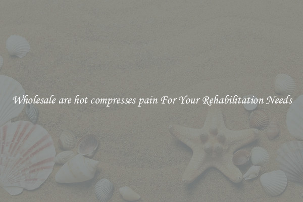Wholesale are hot compresses pain For Your Rehabilitation Needs