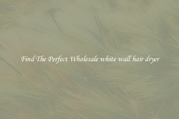 Find The Perfect Wholesale white wall hair dryer