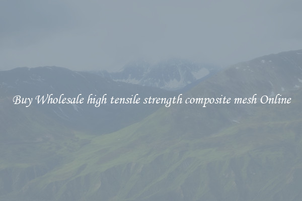 Buy Wholesale high tensile strength composite mesh Online