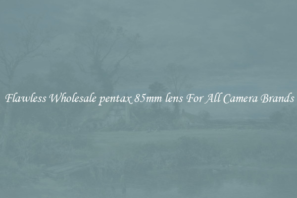 Flawless Wholesale pentax 85mm lens For All Camera Brands