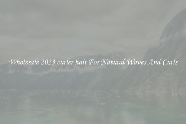 Wholesale 2023 curler hair For Natural Waves And Curls