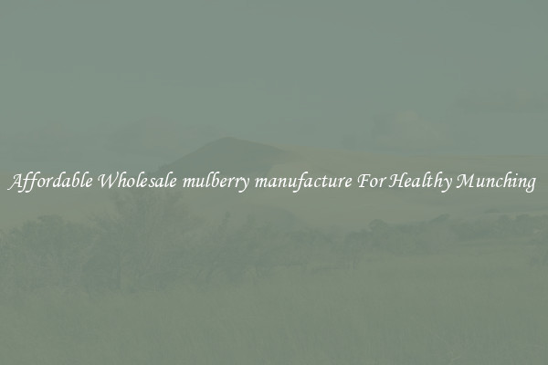 Affordable Wholesale mulberry manufacture For Healthy Munching 
