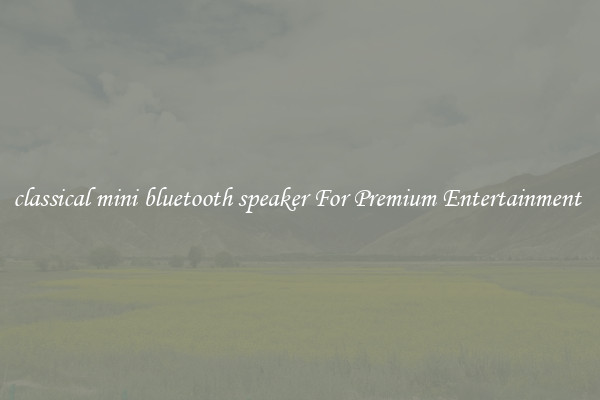 classical mini bluetooth speaker For Premium Entertainment 