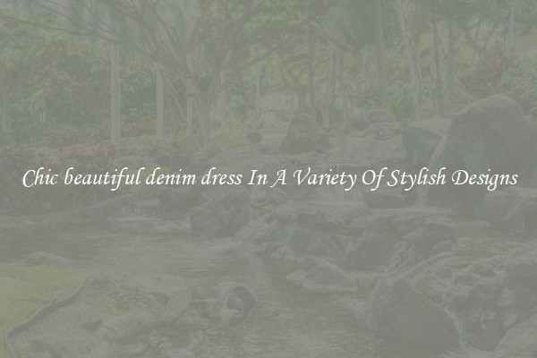 Chic beautiful denim dress In A Variety Of Stylish Designs