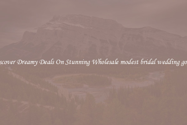 Discover Dreamy Deals On Stunning Wholesale modest bridal wedding gown