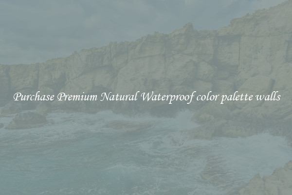 Purchase Premium Natural Waterproof color palette walls