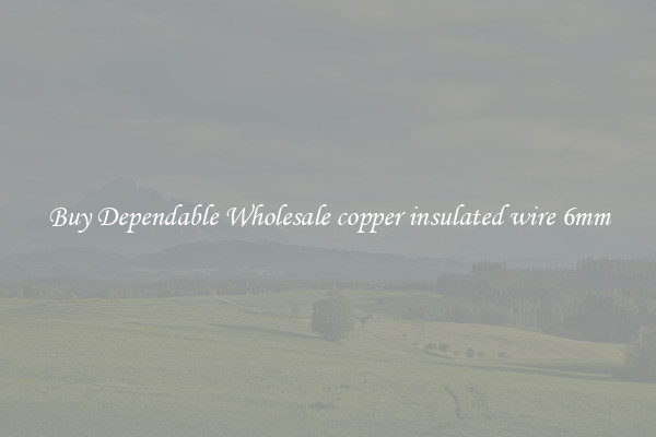 Buy Dependable Wholesale copper insulated wire 6mm
