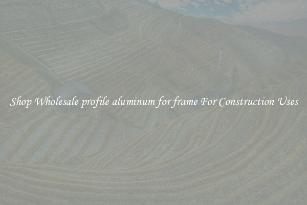 Shop Wholesale profile aluminum for frame For Construction Uses