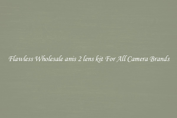 Flawless Wholesale anis 2 lens kit For All Camera Brands