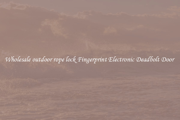 Wholesale outdoor rope lock Fingerprint Electronic Deadbolt Door 