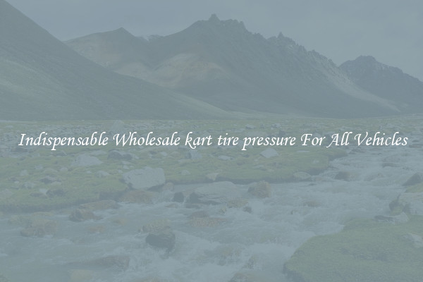 Indispensable Wholesale kart tire pressure For All Vehicles