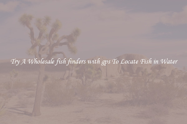 Try A Wholesale fish finders with gps To Locate Fish in Water