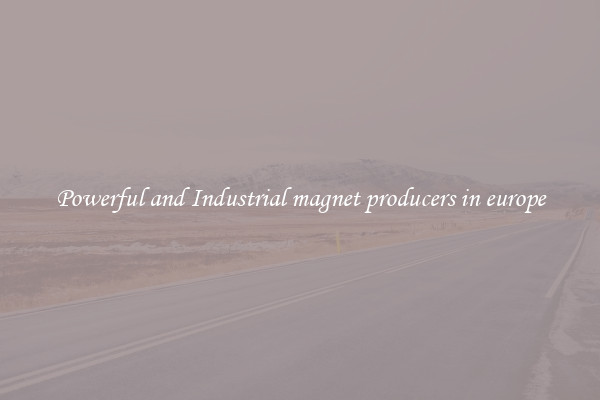 Powerful and Industrial magnet producers in europe