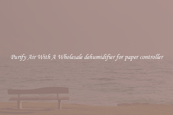 Purify Air With A Wholesale dehumidifier for paper controller