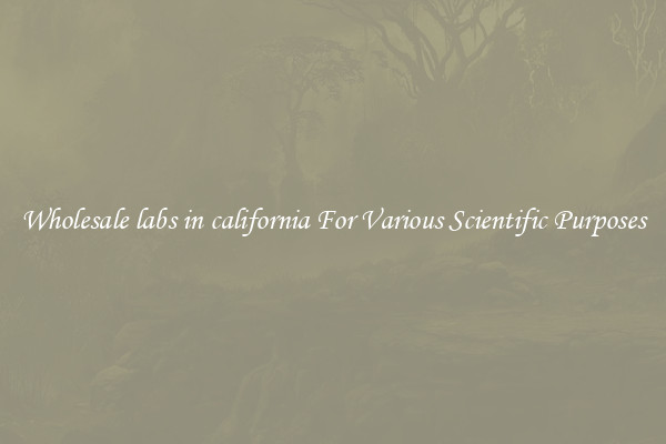 Wholesale labs in california For Various Scientific Purposes