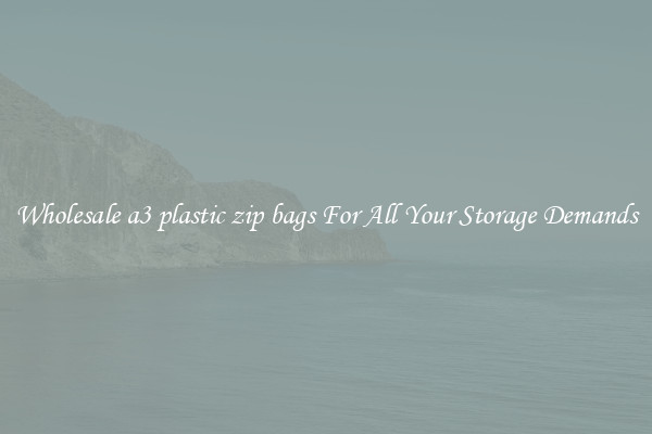 Wholesale a3 plastic zip bags For All Your Storage Demands